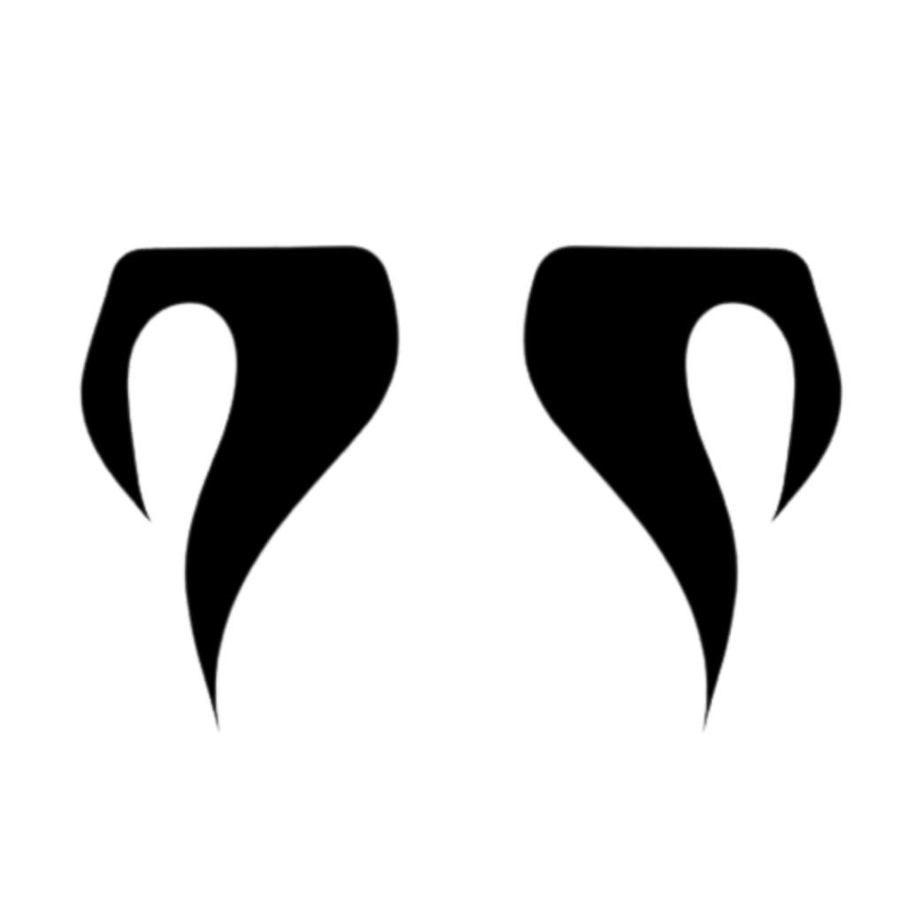 2 (19)