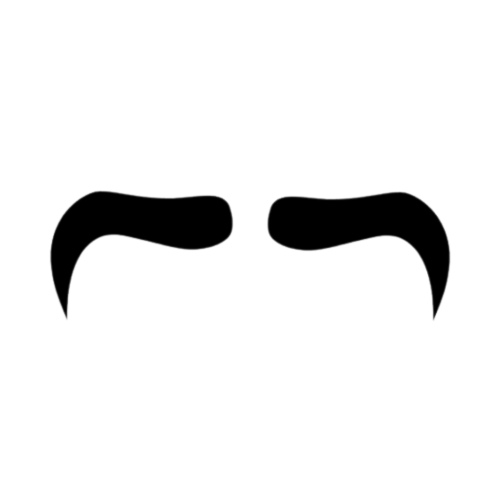 2 (21)